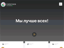 Tablet Screenshot of gorkunov.com